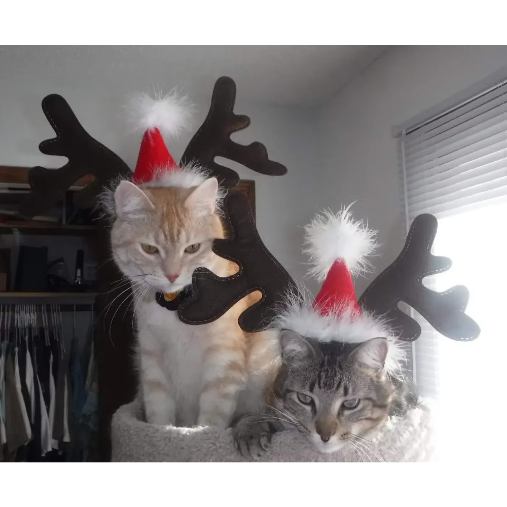 Reindeer Antlers Headband - Evcil Hayvanlar İçin Noel Temalı Ren